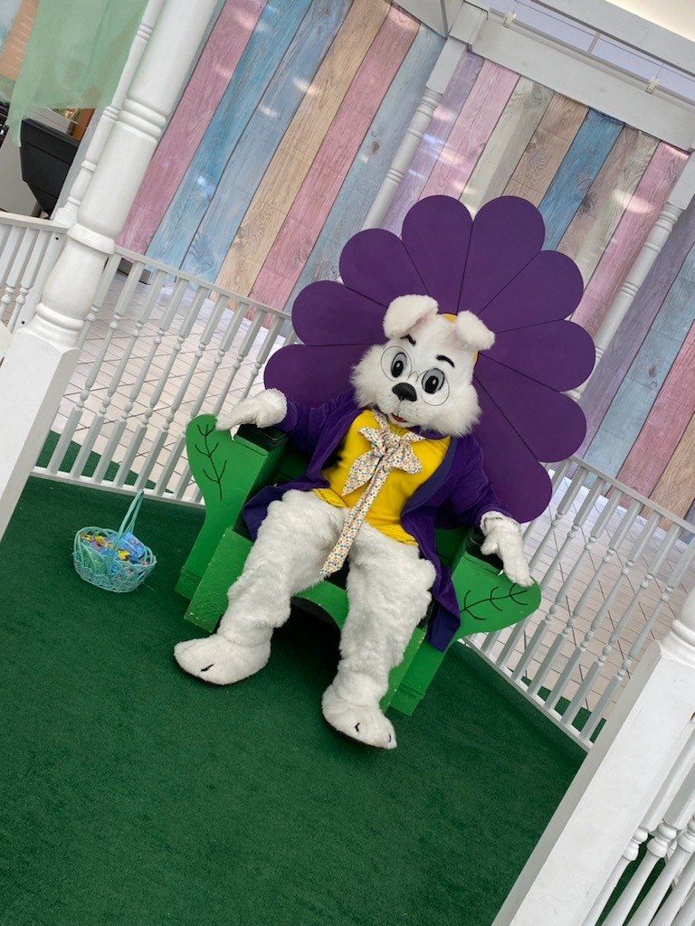 Easter Bunny entertainer seated at a spring photo display