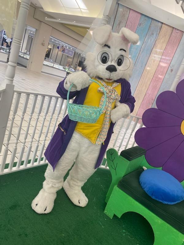 Professional Easter Bunny entertainer available for hire